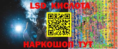 индика Камень-на-Оби