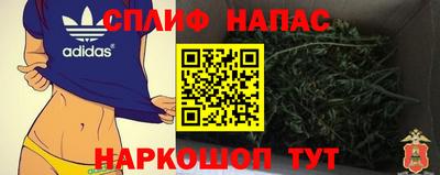 MDMA Гатчина