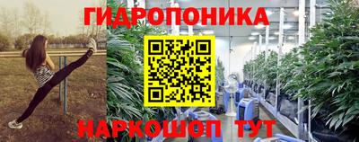 MDMA Гатчина
