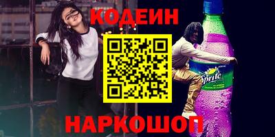 индика Камень-на-Оби