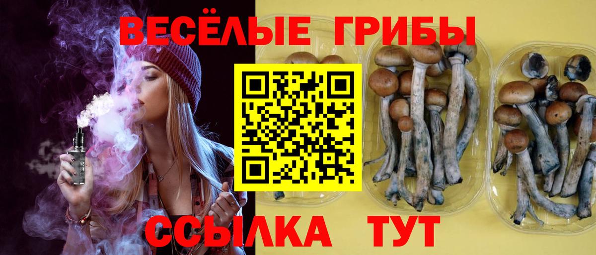 Псилоцибиновые грибы MAGIC MUSHROOMS Котовск